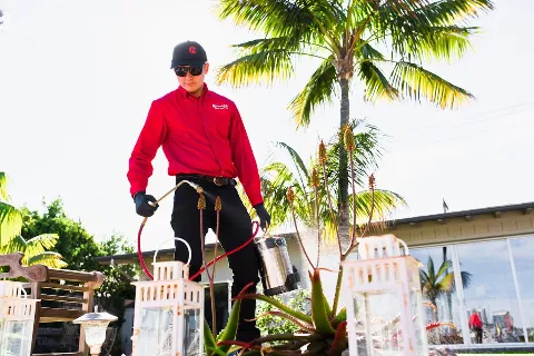 Mission Pest Control photo 1