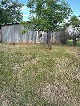 Voltage Tree & Lawn photo 8