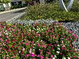 Sage Landscaping Commercial Services