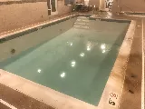 Dolphin Pool Services, LLC photo 7