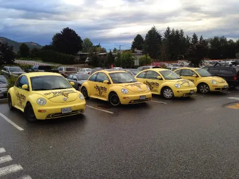 The Bugman Pest Control Services photo 1