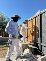 Herrera's Bay Area Painting inc. photo 4