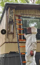 Pest-X Exterminating photo 7