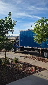All Service Moving Phoenix photo 5