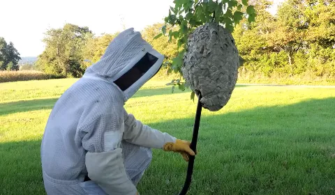 APC Exterminators photo 1