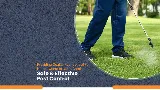 Pest & Termite Consultants