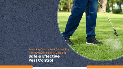 Pest & Termite Consultants photo 1
