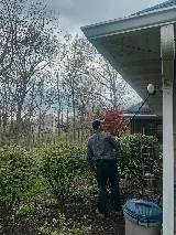 Nature Shield Pest Solutions photo 8