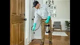Greenway Pest Solutions