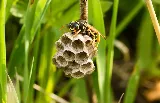 Extermination Target photo 7