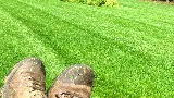 J.N. King Lawn Care photo 4