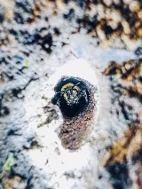 EcoCare Pest Control photo 3