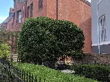 District Landscapes photo 8