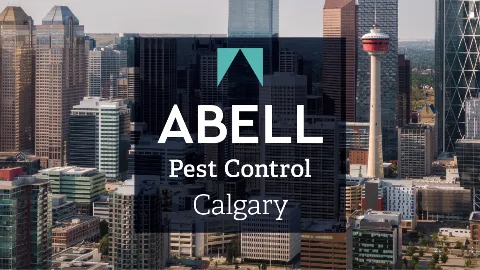 Abell Pest Control photo 1