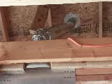 Integrated Electric photo 4