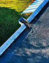 Signature Roof Repair photo 3