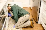 Highland Eco Pest Control photo 5