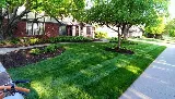 JUAN'S YARD & LANDSCAPING SVS LLC photo 3