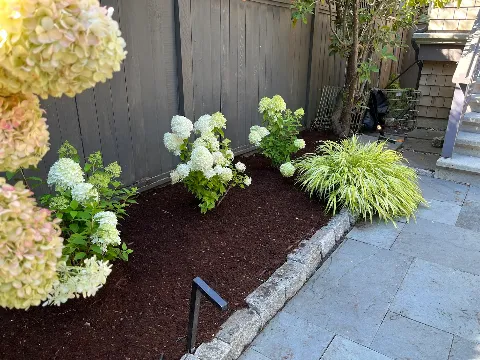 Blossom Landscaping photo 1