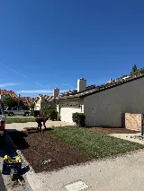 Luis Hernandez Landscaping photo 7