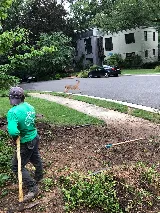 CORTEZ LAWN & LANDSCAPING INC.