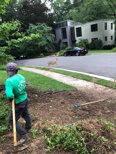 CORTEZ LAWN & LANDSCAPING INC. photo 1
