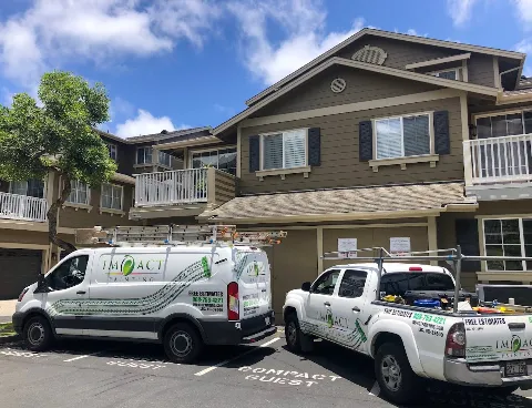 Impact Painting in Honolulu