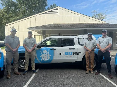 The Best Pest Control Solutions in Winston-Salem