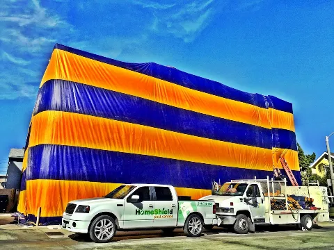 HomeShield Pest Control photo 1
