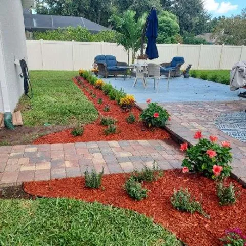 Tampa landscape solutions photo 1