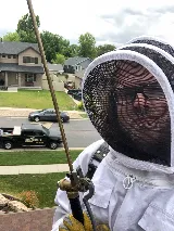Bug Bully Pest Control photo 9