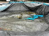MP Paradise Pools and Spas photo 8