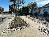 SoCal Landscape and Trees photo 3