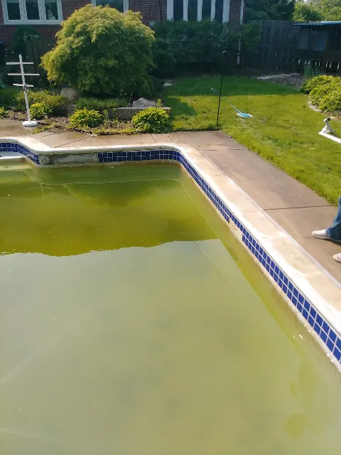 Clearwater Pools & Spas photo 1