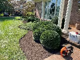 Imperial Lawn & Landscape photo 3