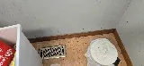 Champion Pest Control photo 5