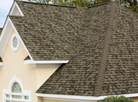 Sierra Roof photo 1