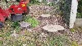 Braun's All-Year Landscaping LLC photo 8
