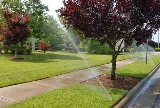 U.S. Lawns - Sacramento photo 8