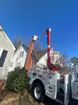Jarrod's Pest Control photo 2