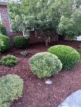 Tucker Lawn and Landscaping photo 3