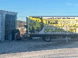 Tiger Moving photo 2