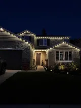 Dowd Solar Netting and Cleaning