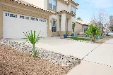 Desert Rain Landscaping & Services photo 2