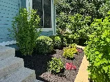 Twin Bros Lawn Care & Landscaping LLC photo 7