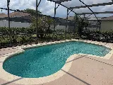 The Pool Specialist photo 6