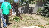 Manhattan Landscape Company photo 6