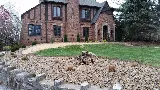 Lawn Mex Inc and Tree Service photo 7