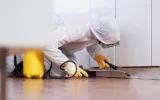 Elite Pest Control photo 6