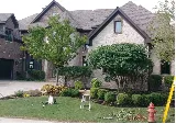 Andres Lawn Salon
